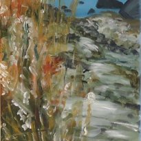 Frostklar vinterdag i Dageløkke